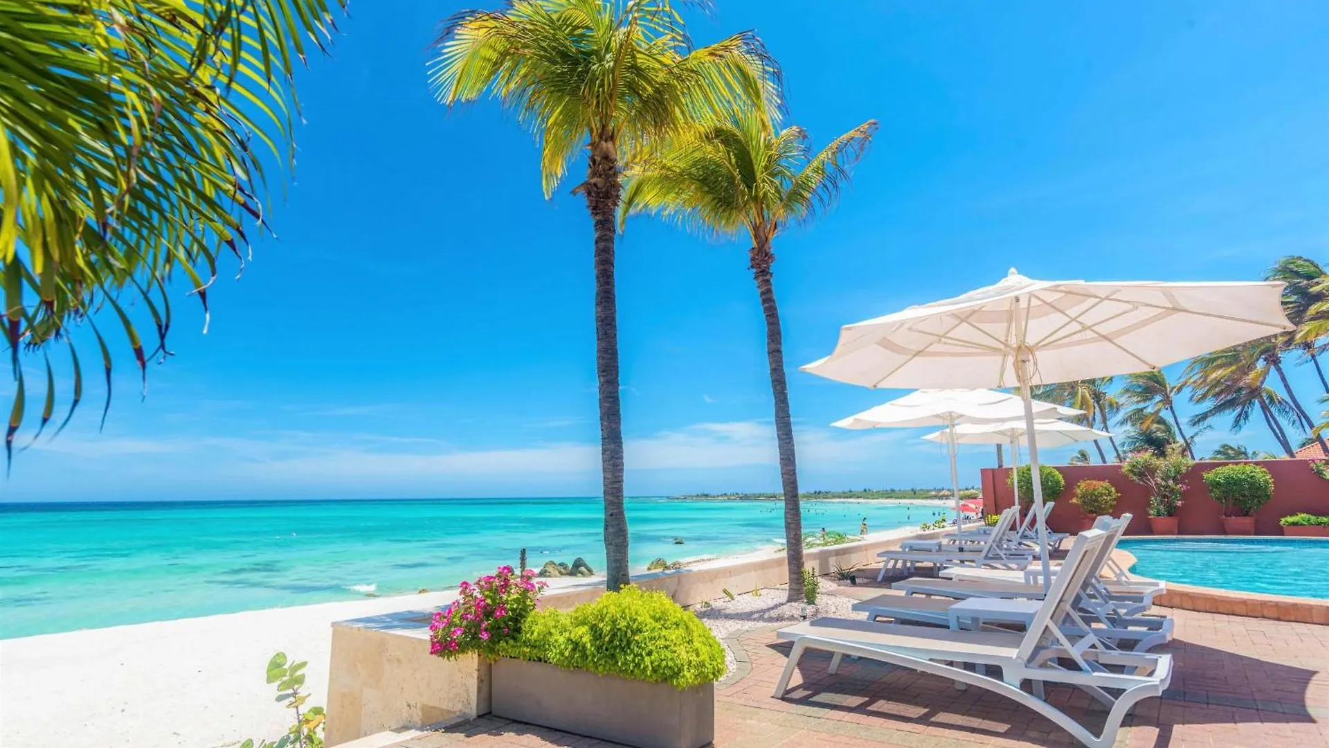 Arashi Beachfront Villa 131 Palm Beach